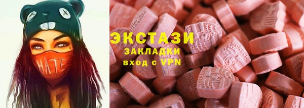 шишки Инта