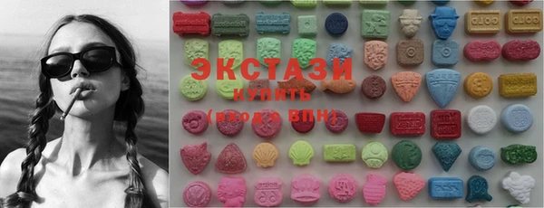 шишки Инта