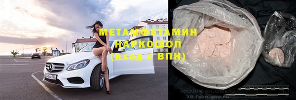 шишки Инта