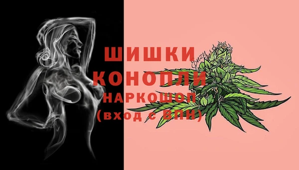 шишки Инта
