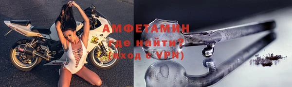 шишки Инта