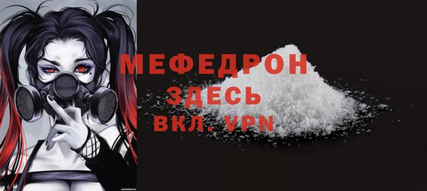 шишки Инта