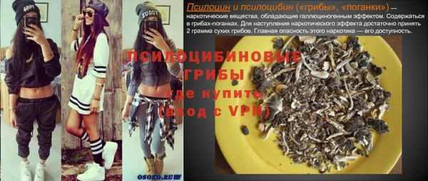 гидропоника Инсар