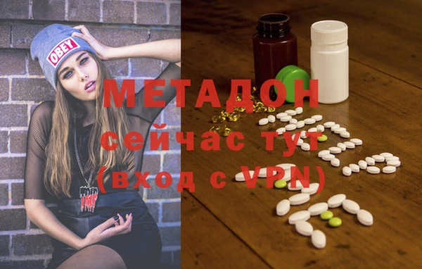 шишки Инта