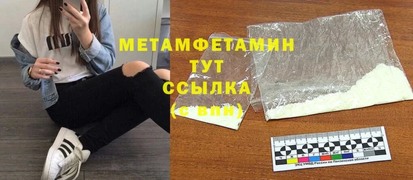 шишки Инта