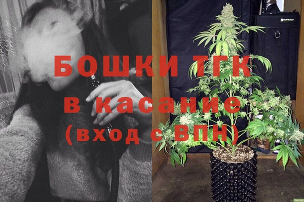 шишки Инта