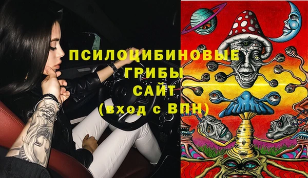гидропоника Инсар
