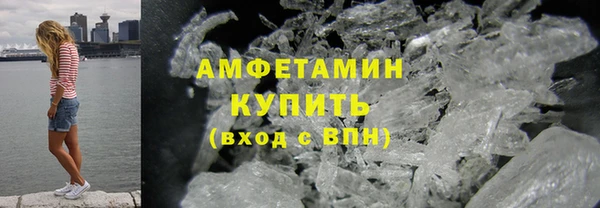 шишки Инта