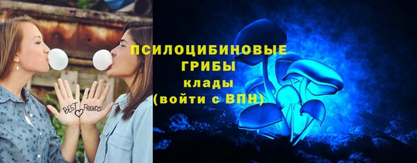 шишки Инта