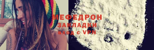 шишки Инта