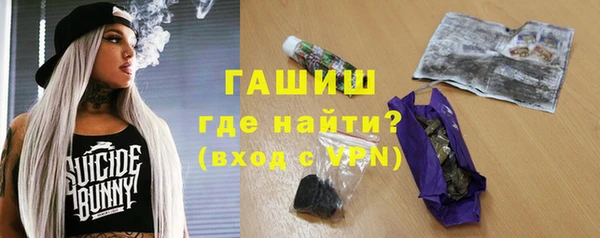 шишки Инта