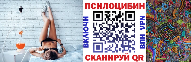 shop официальный сайт  Касимов  Галлюциногенные грибы GOLDEN TEACHER 
