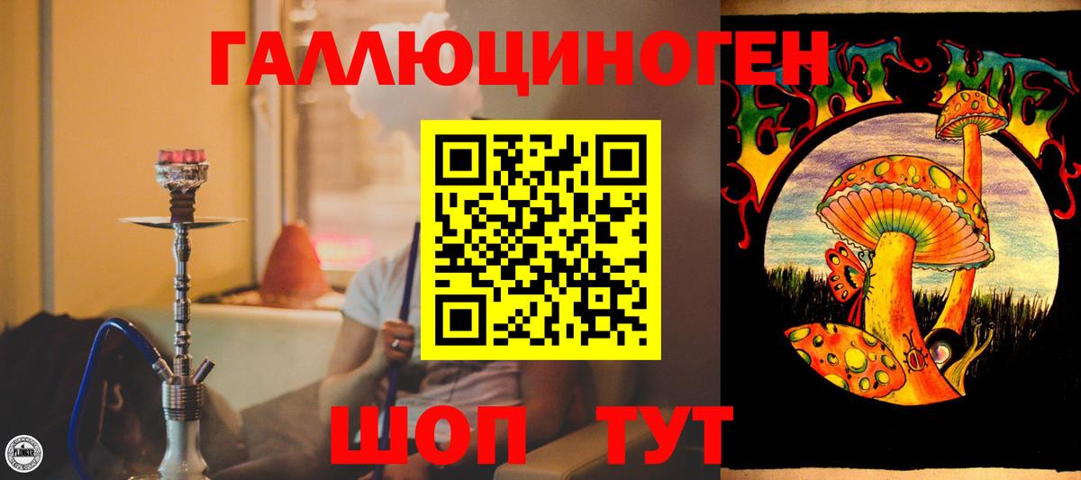 Псилоцибиновые грибы Magic Shrooms  цены наркотик  Вход с VPN  Касимов  Псилоцибиновые грибы Psilocybe 